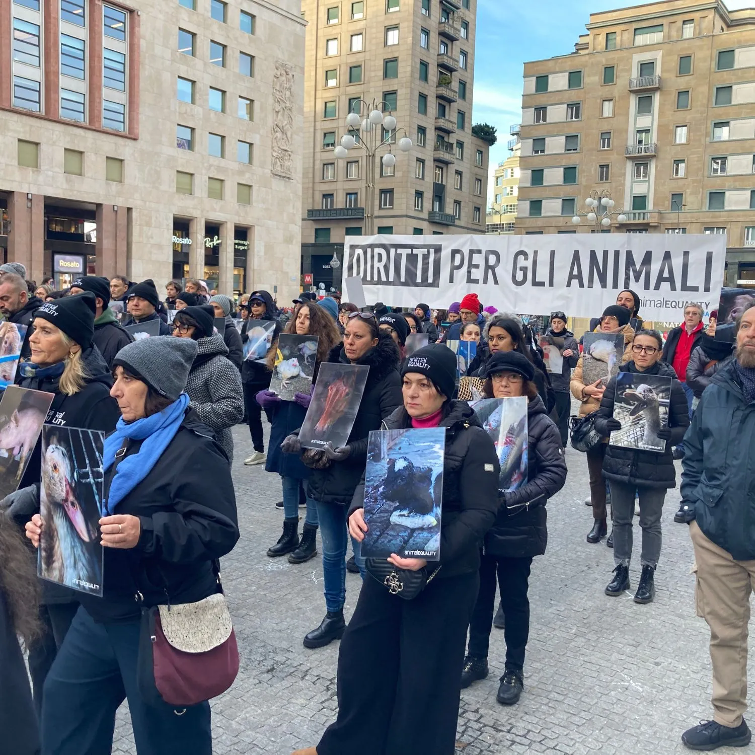 Giornata Internazionale dei Diritti degli Animali: oggi l’evento a Milano di Animal Equality insieme alla rete dei Santuari 3 Giornata Internazionale dei Diritti degli Animali: oggi l’evento a Milano di Animal Equality insieme alla rete dei Santuari