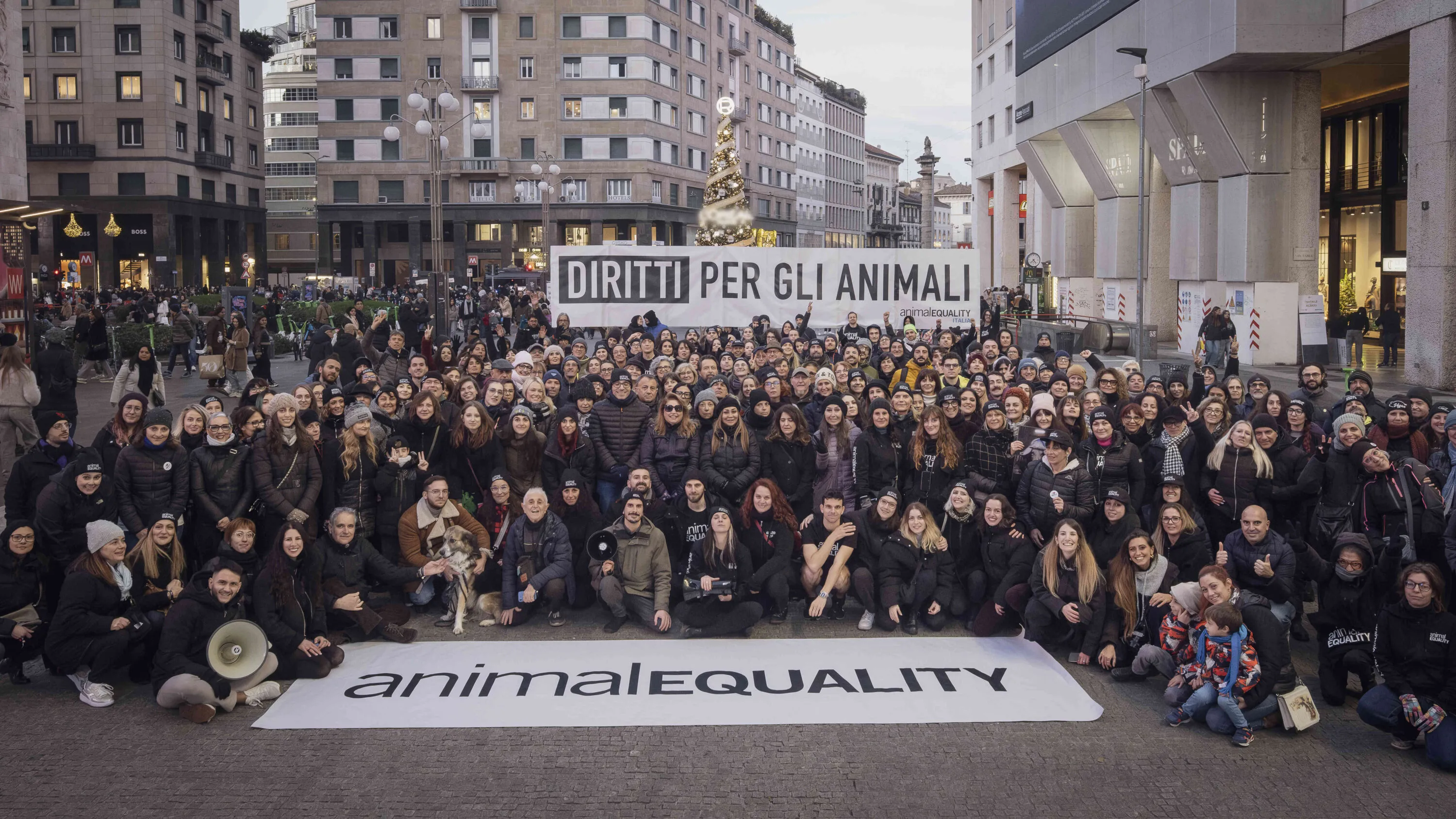 La giornata Internazionale dei Diritti degli Animali 3