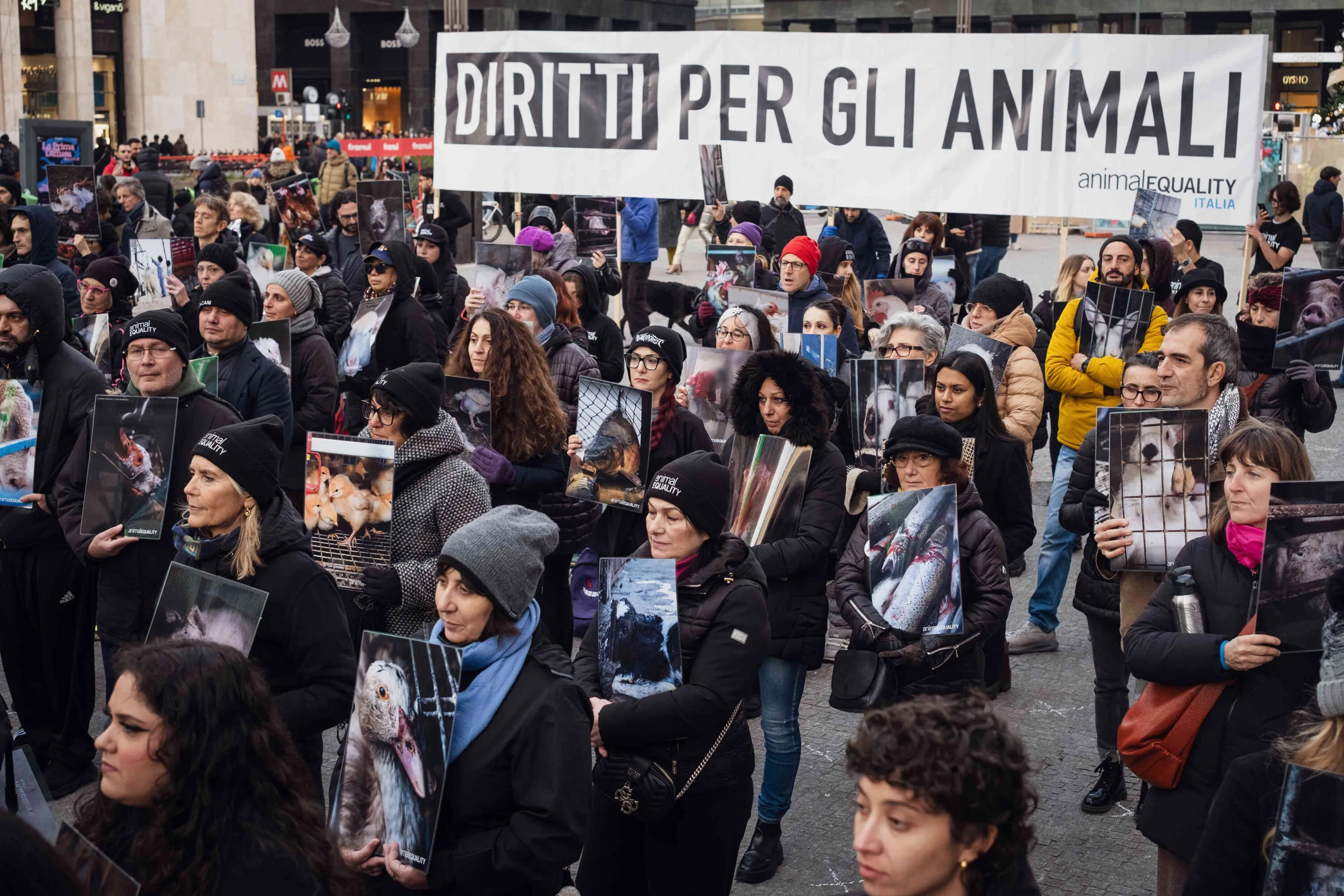 La giornata Internazionale dei Diritti degli Animali 4