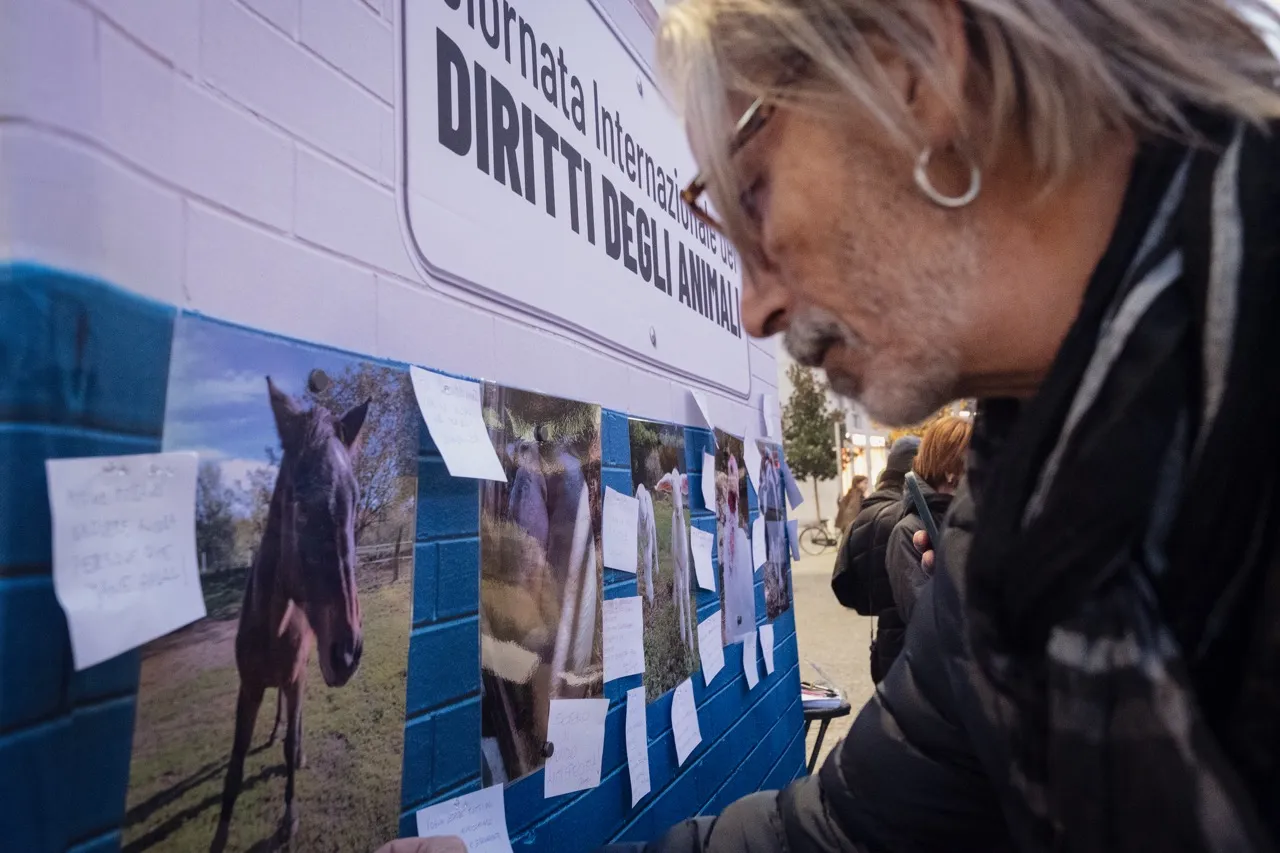La giornata Internazionale dei Diritti degli Animali 7