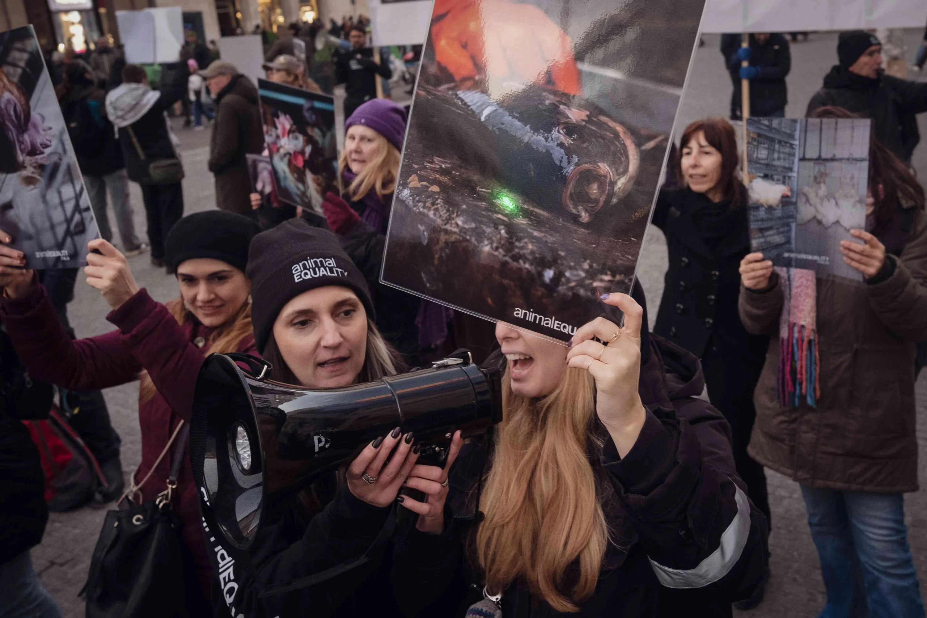 La giornata Internazionale dei Diritti degli Animali 9