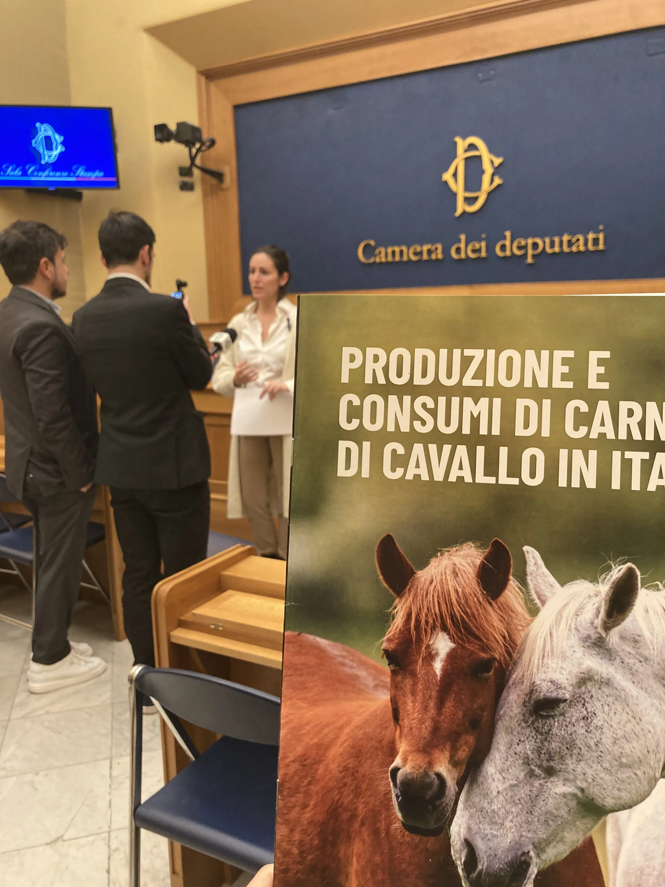 Alla Camera una nuova proposta di legge contro la macellazione degli equidi 6