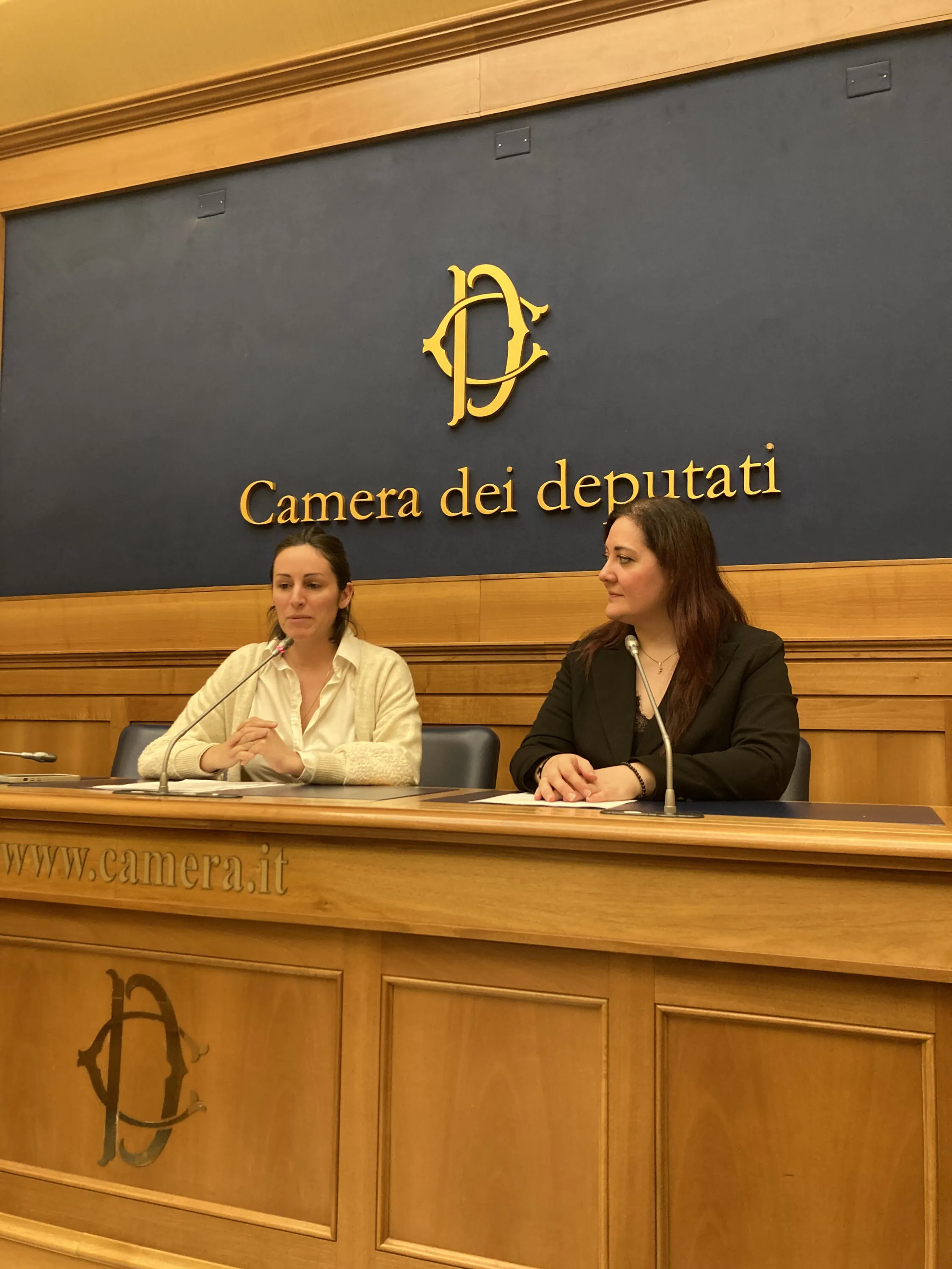 Alla Camera una nuova proposta di legge contro la macellazione degli equidi 5