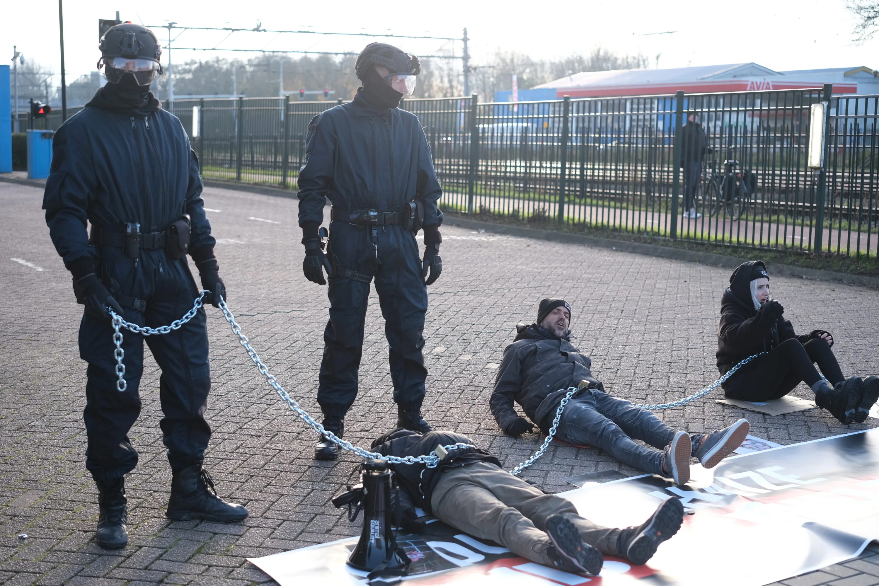 Attivisti di Animal Equality arrestati durante una protesta pacifica rivolta ad Ahold Delhaize 5