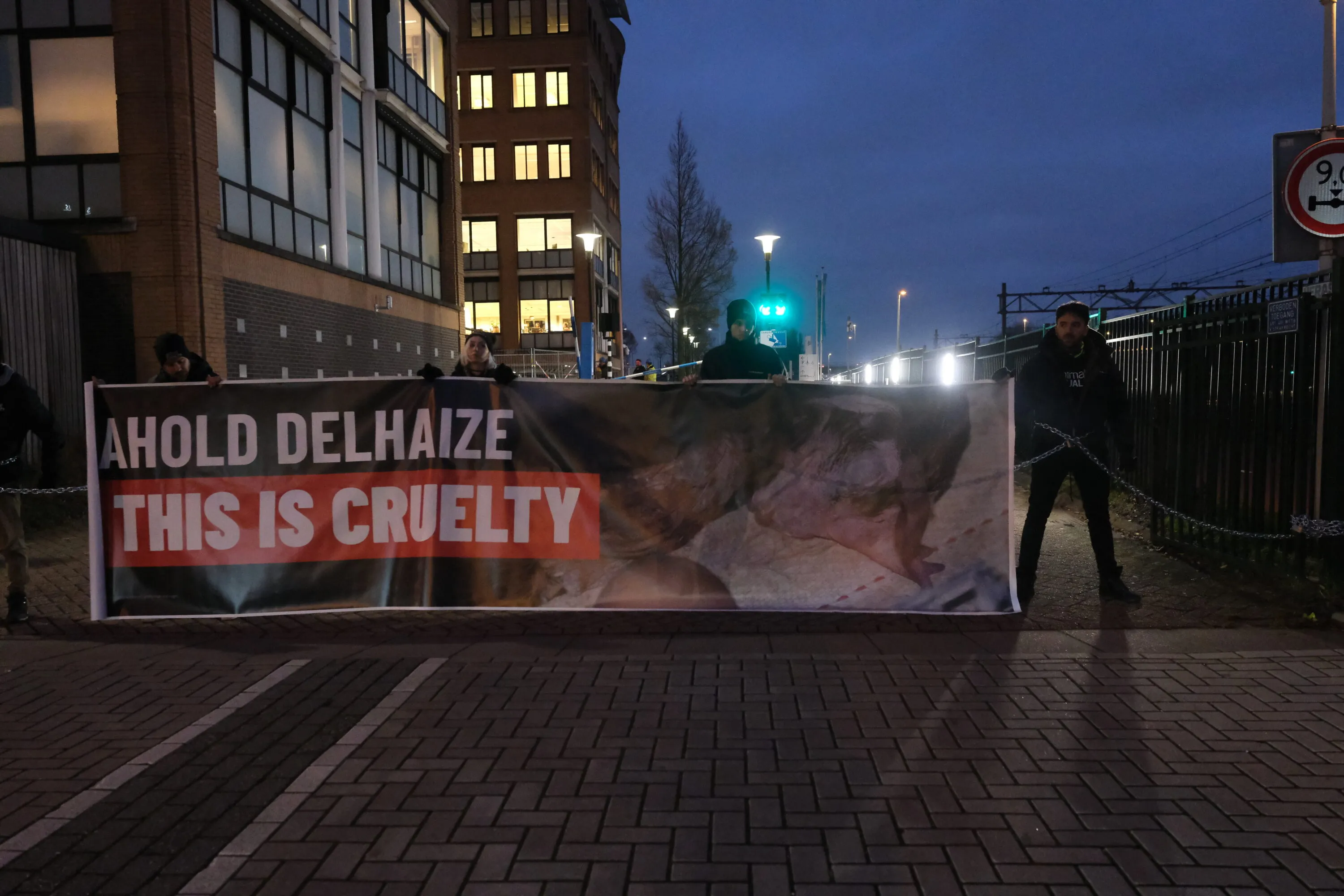 Attivisti di Animal Equality arrestati durante una protesta pacifica rivolta ad Ahold Delhaize 6