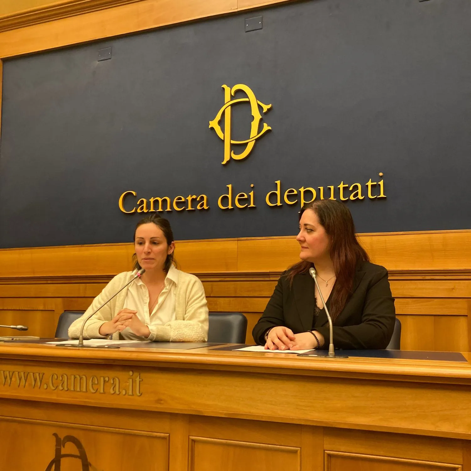 Alla Camera una nuova proposta di legge contro la macellazione degli equidi 2 Alla Camera una nuova proposta di legge contro la macellazione degli equidi