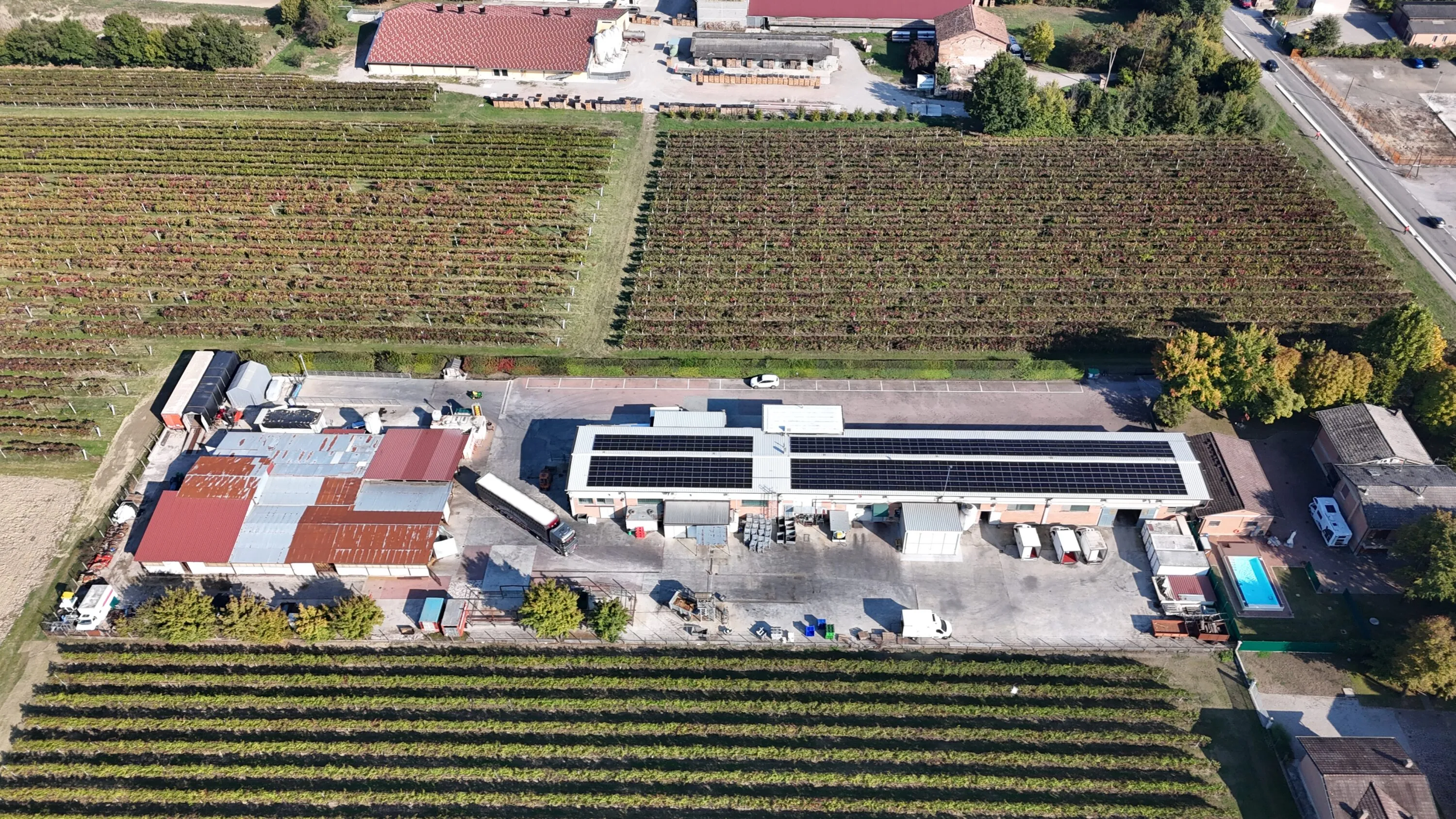 Aggrediti davanti al macello Zerbini & Ragazzi 5