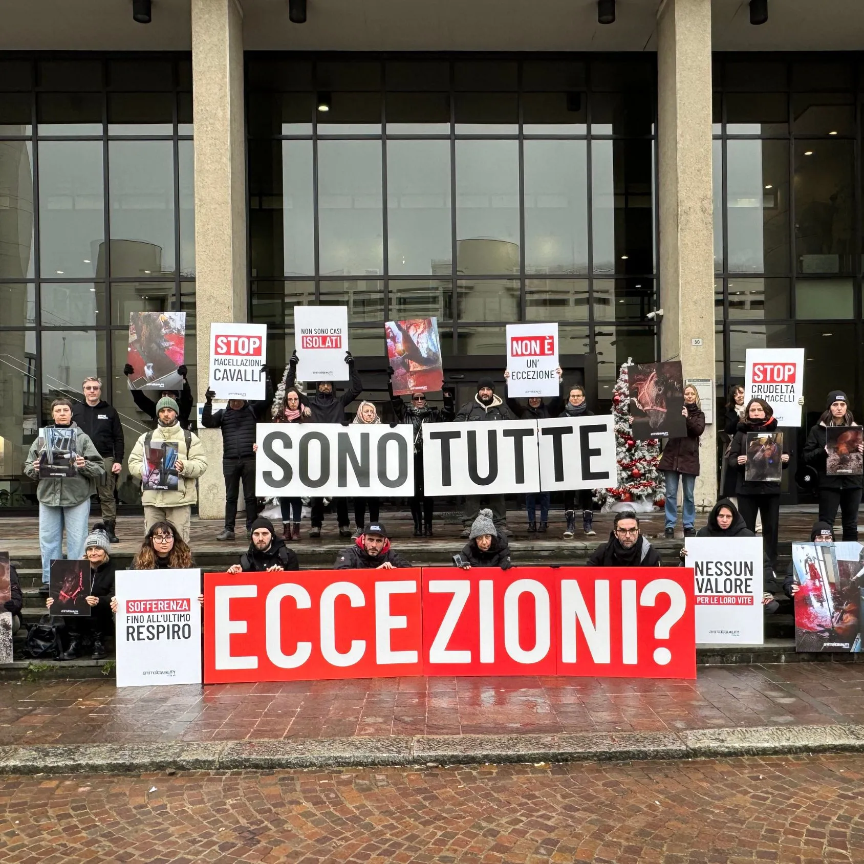 Inchiesta macello Emilia Romagna: dopo l’aggressione alla delegazione 5 Stelle, nuovo presidio di Animal Equality davanti alla sede della Regione a Bologna