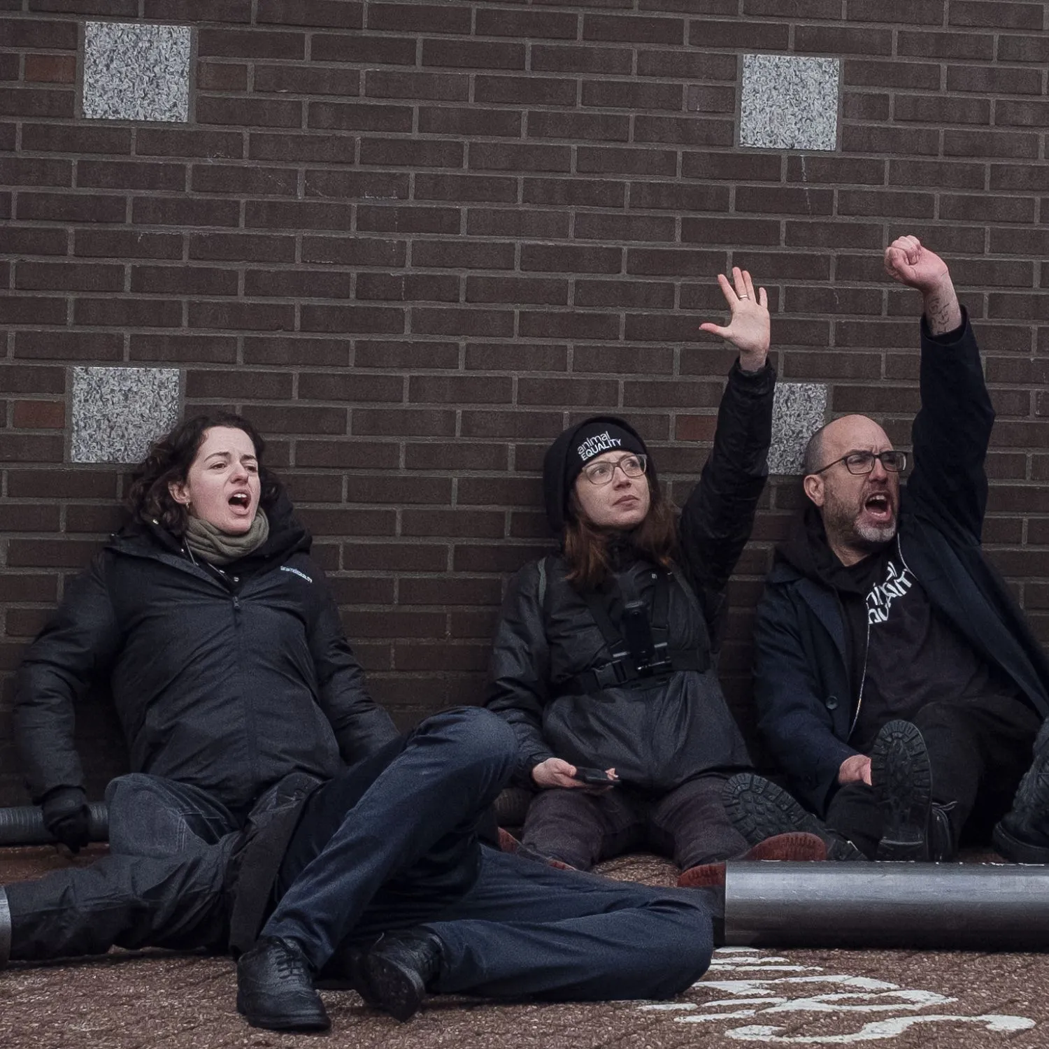 Perché ho deciso di incatenarmi per gli animali