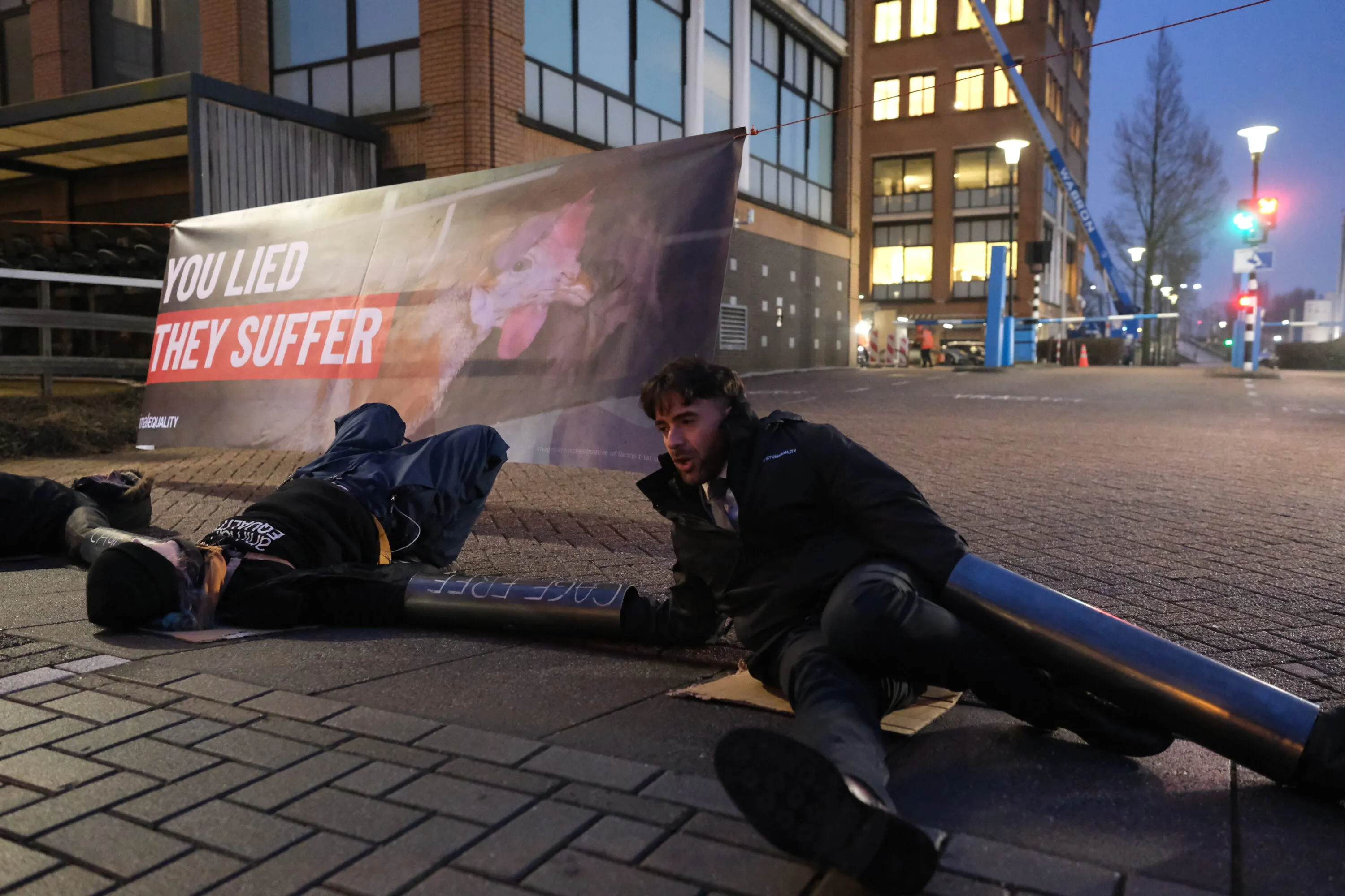 Perché non smetterò di stare dalla parte degli animali 4