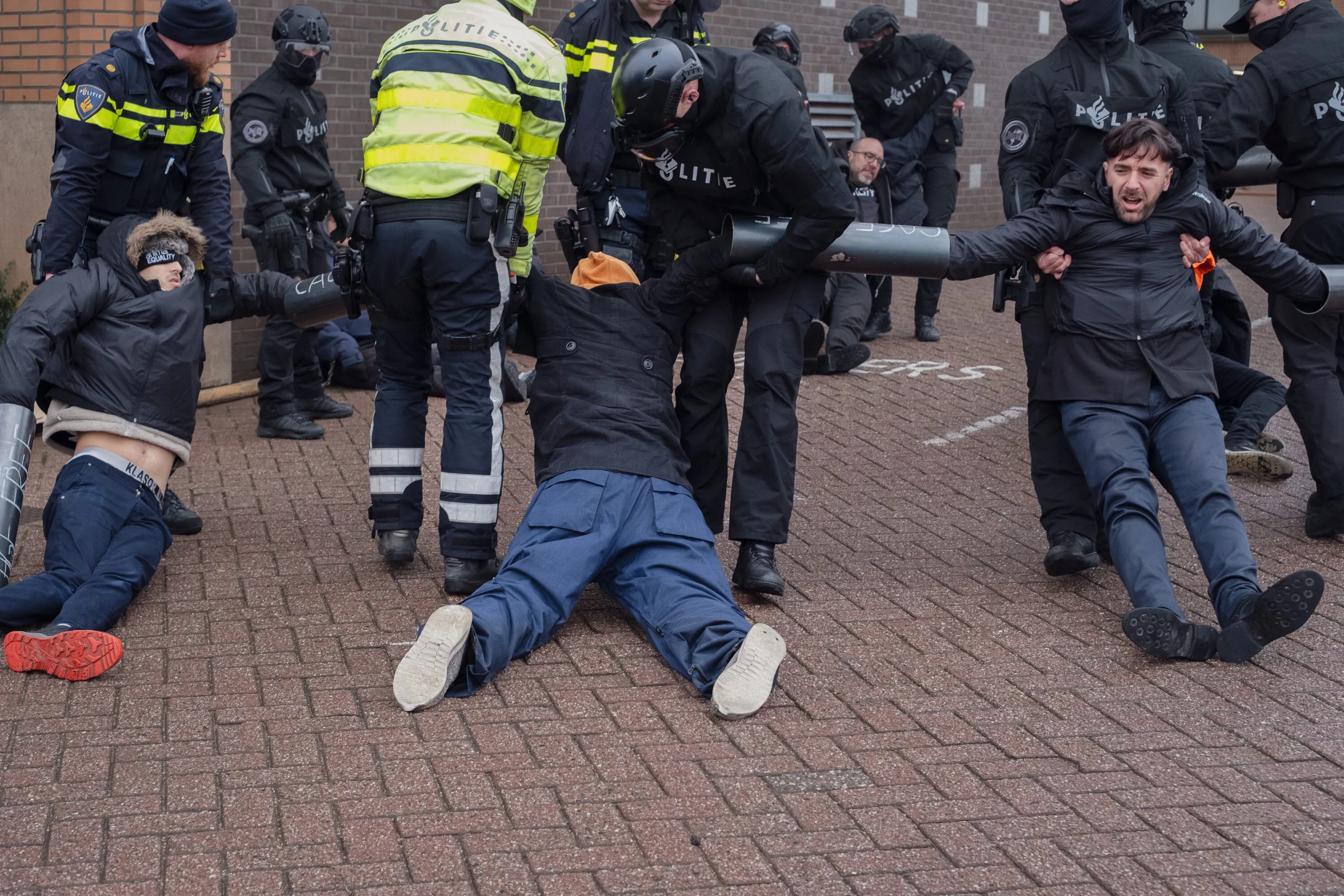 Perché non smetterò di stare dalla parte degli animali 5