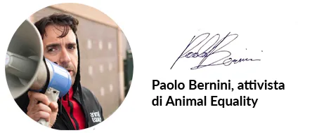 Perché non smetterò di stare dalla parte degli animali 1
