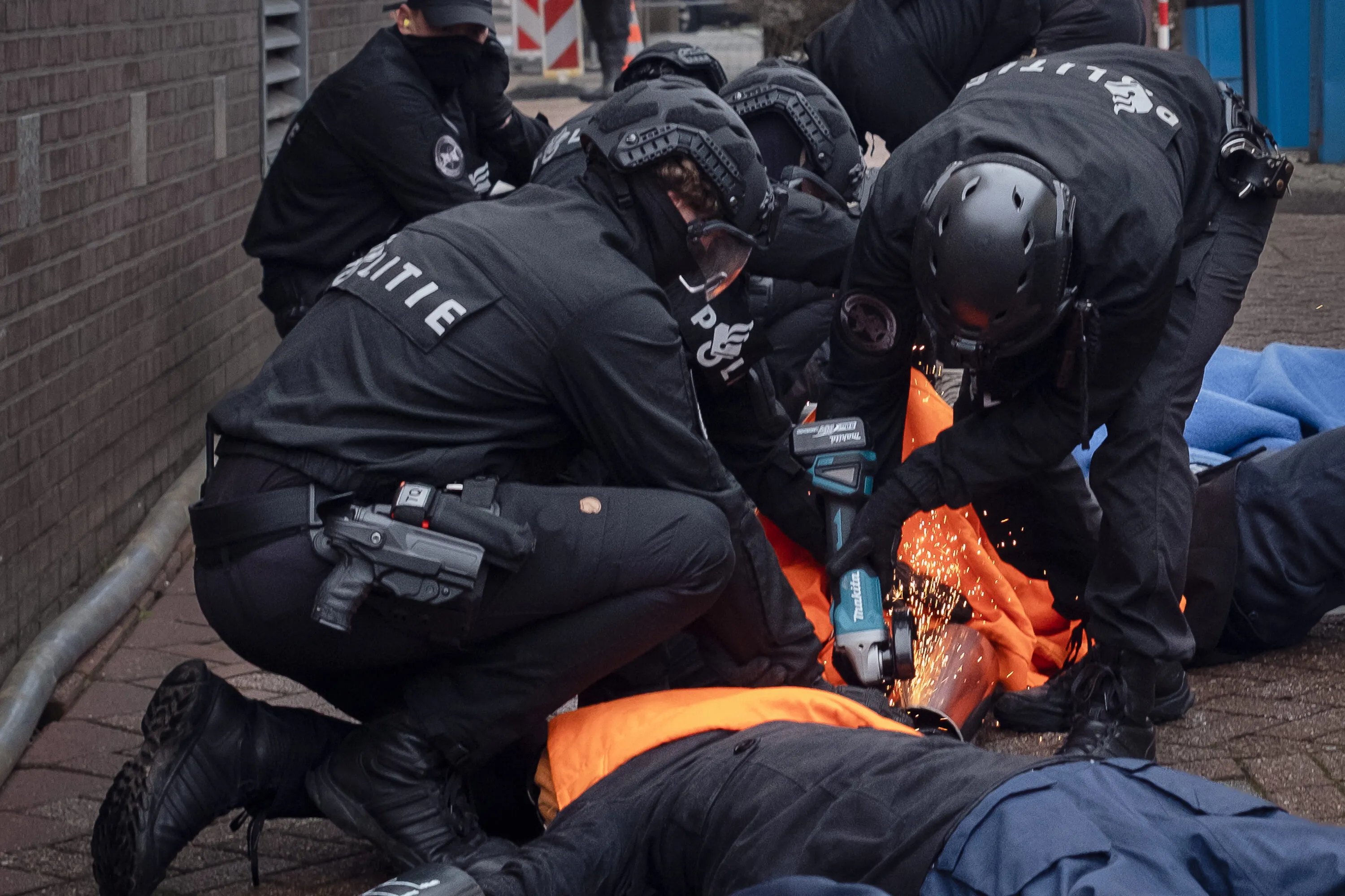 Perché non smetterò di stare dalla parte degli animali 2