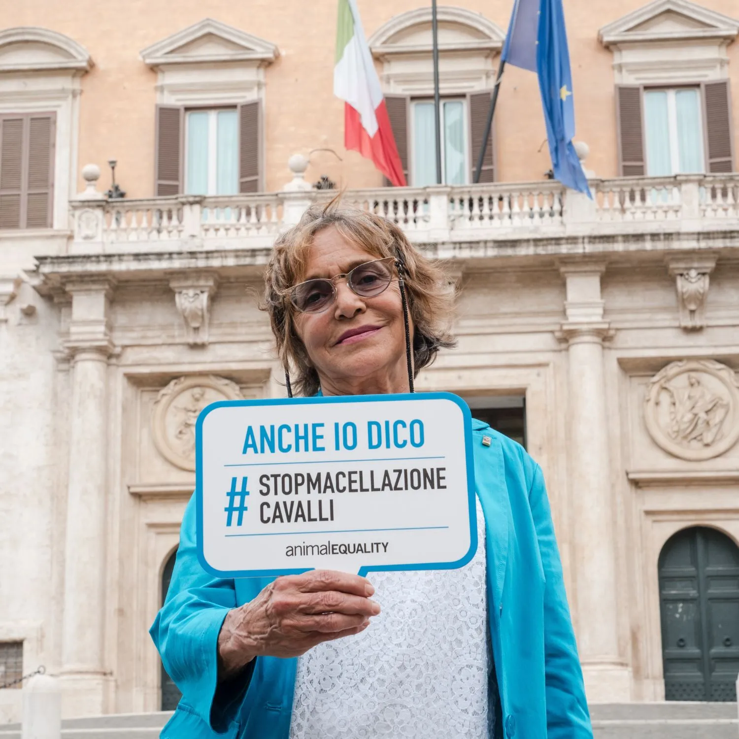 Il Parlamento discuterà le proposte di legge per salvare gli equidi 