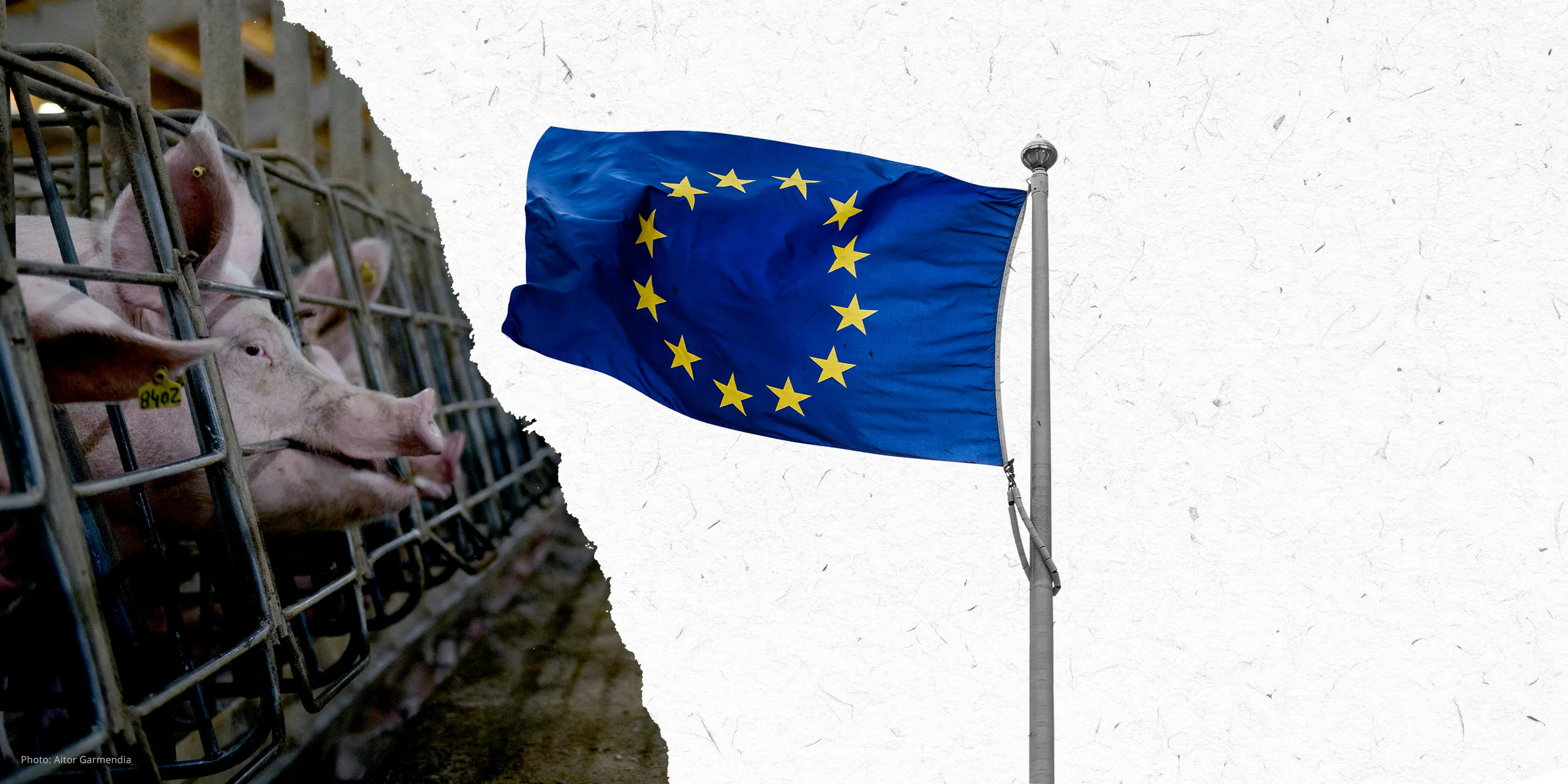 campagna verso l'unione europea