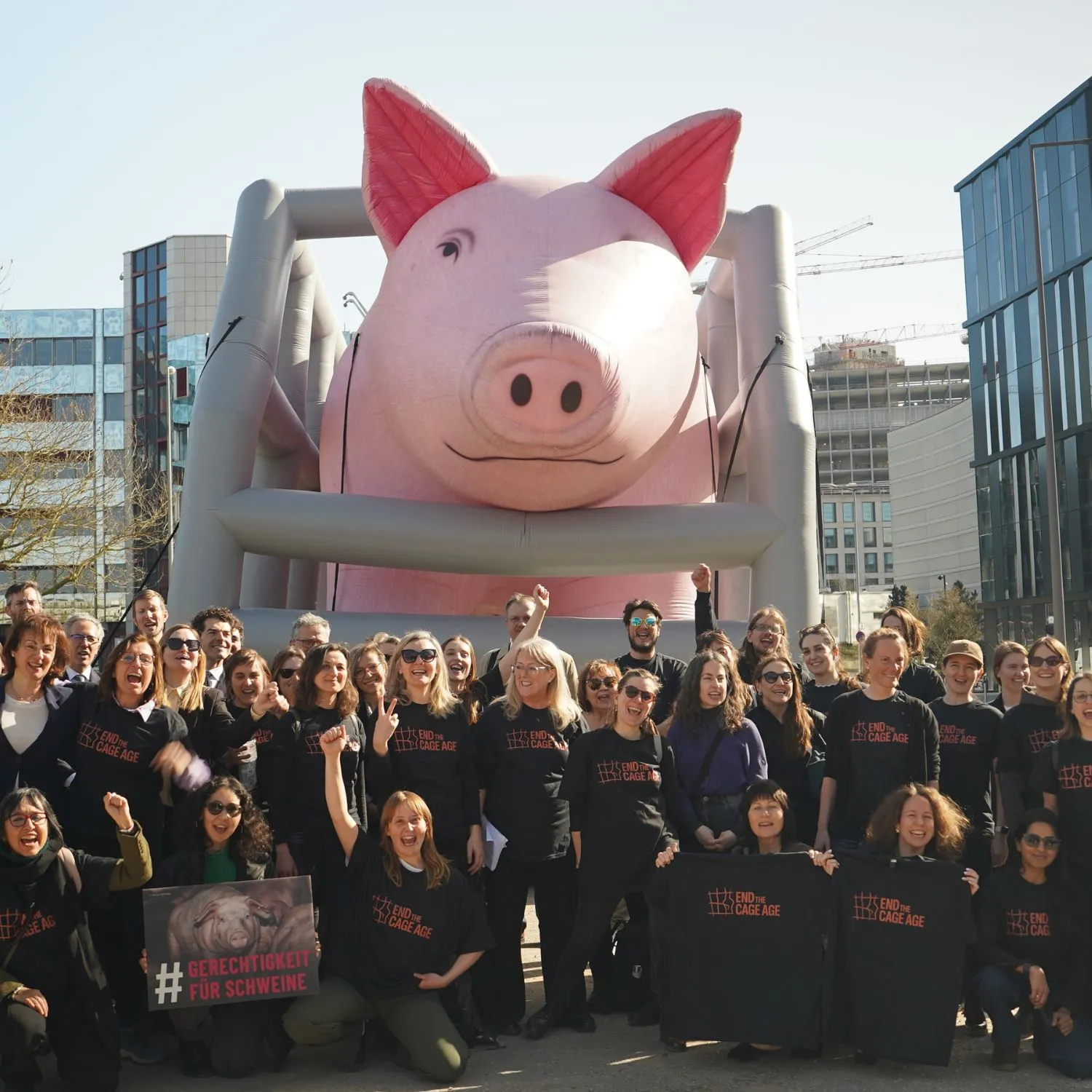 Davanti alla Corte dell’UE per dire basta alle gabbie 3 Davanti alla Corte dell’UE per dire basta alle gabbie