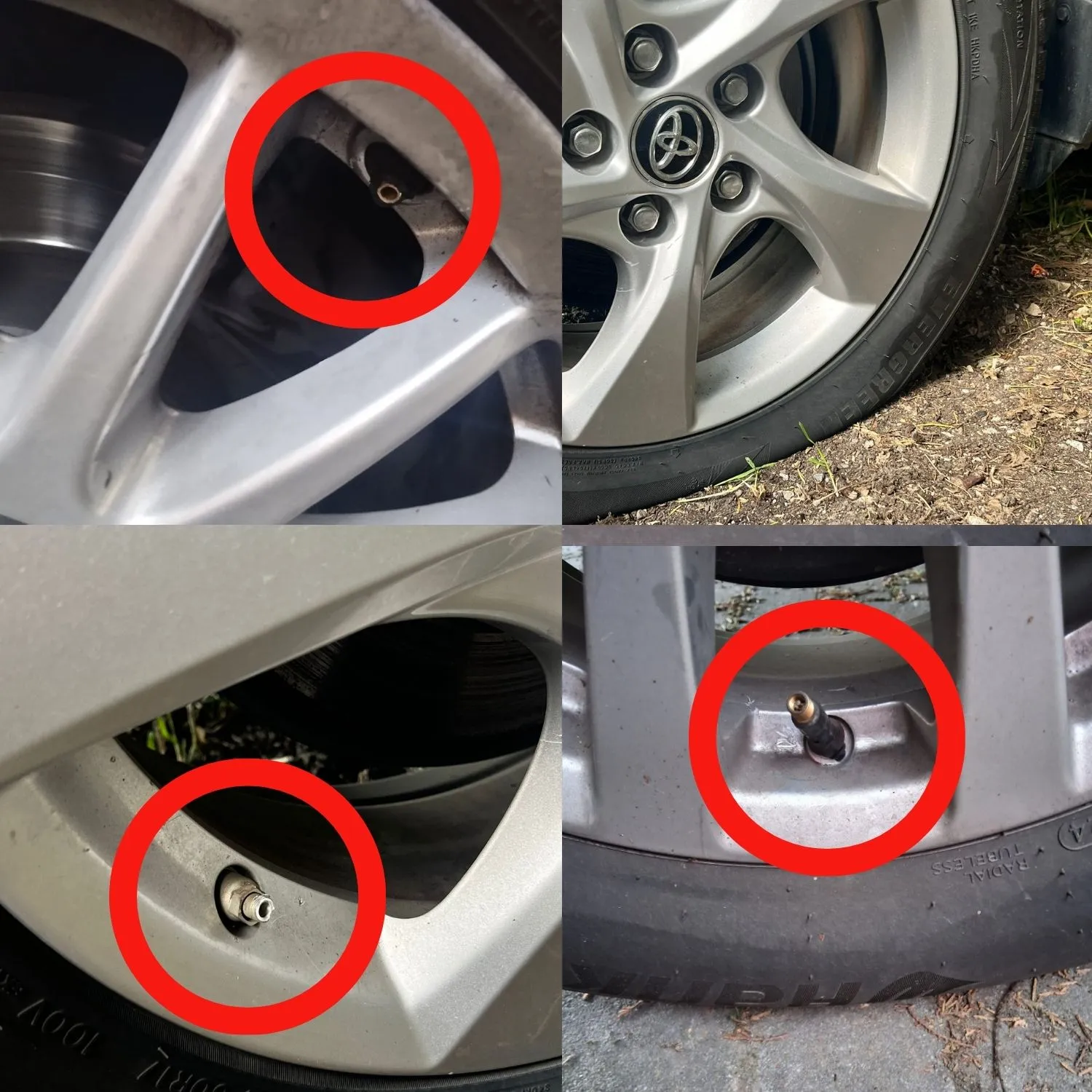 Valvole delle gomme strappate durante la protesta davanti al macello Zerbini & Ragazzi di Correggio
