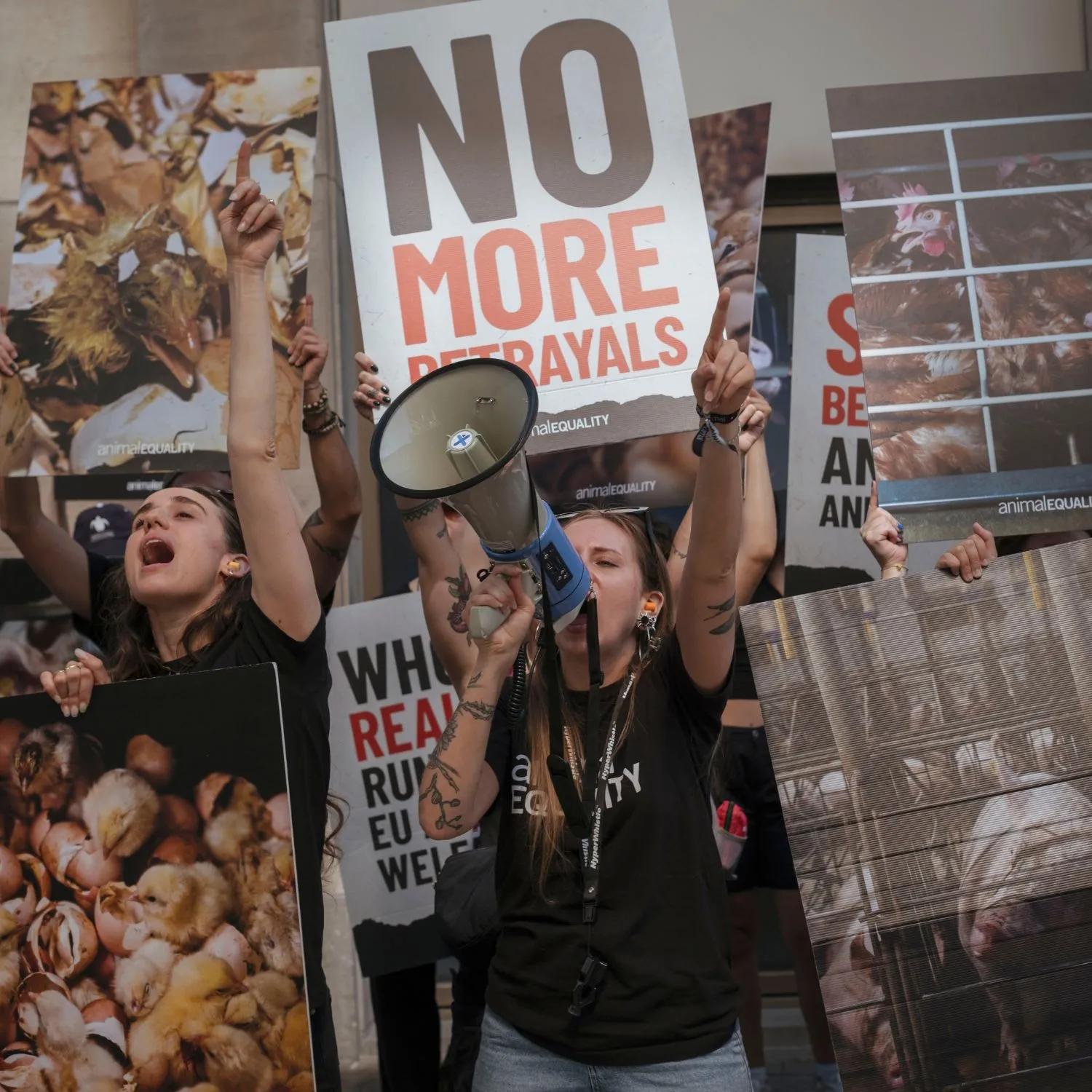 Oltre 170 persone scendono in piazza a Bruxelles per gli animali 1 Oltre 170 persone scendono in piazza a Bruxelles per gli animali