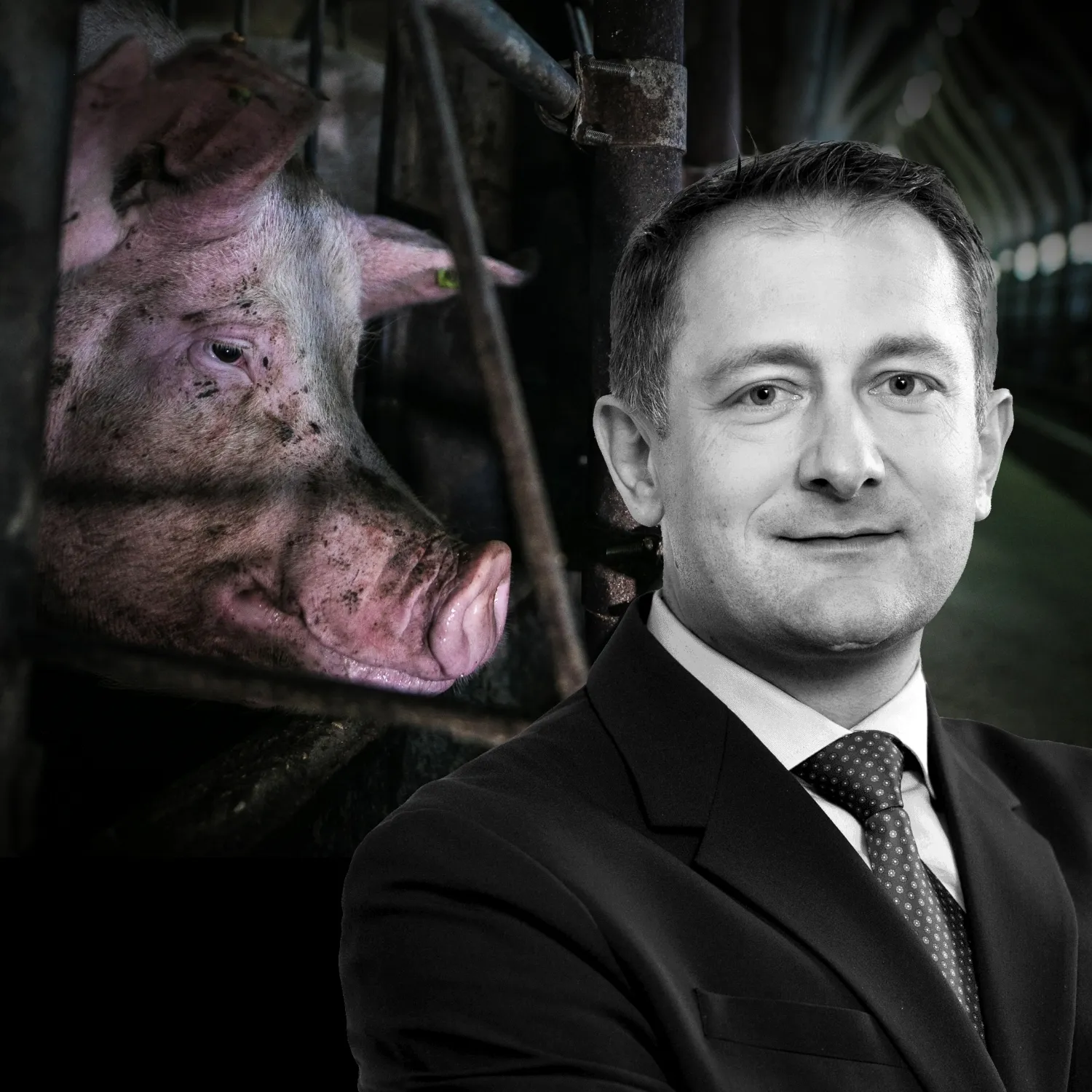 Il commissario europeo che ha incontrato l’industria 20 volte più spesso delle ong è colui che sta redigendo la legge che deciderà il futuro del benessere animale negli allevamenti
