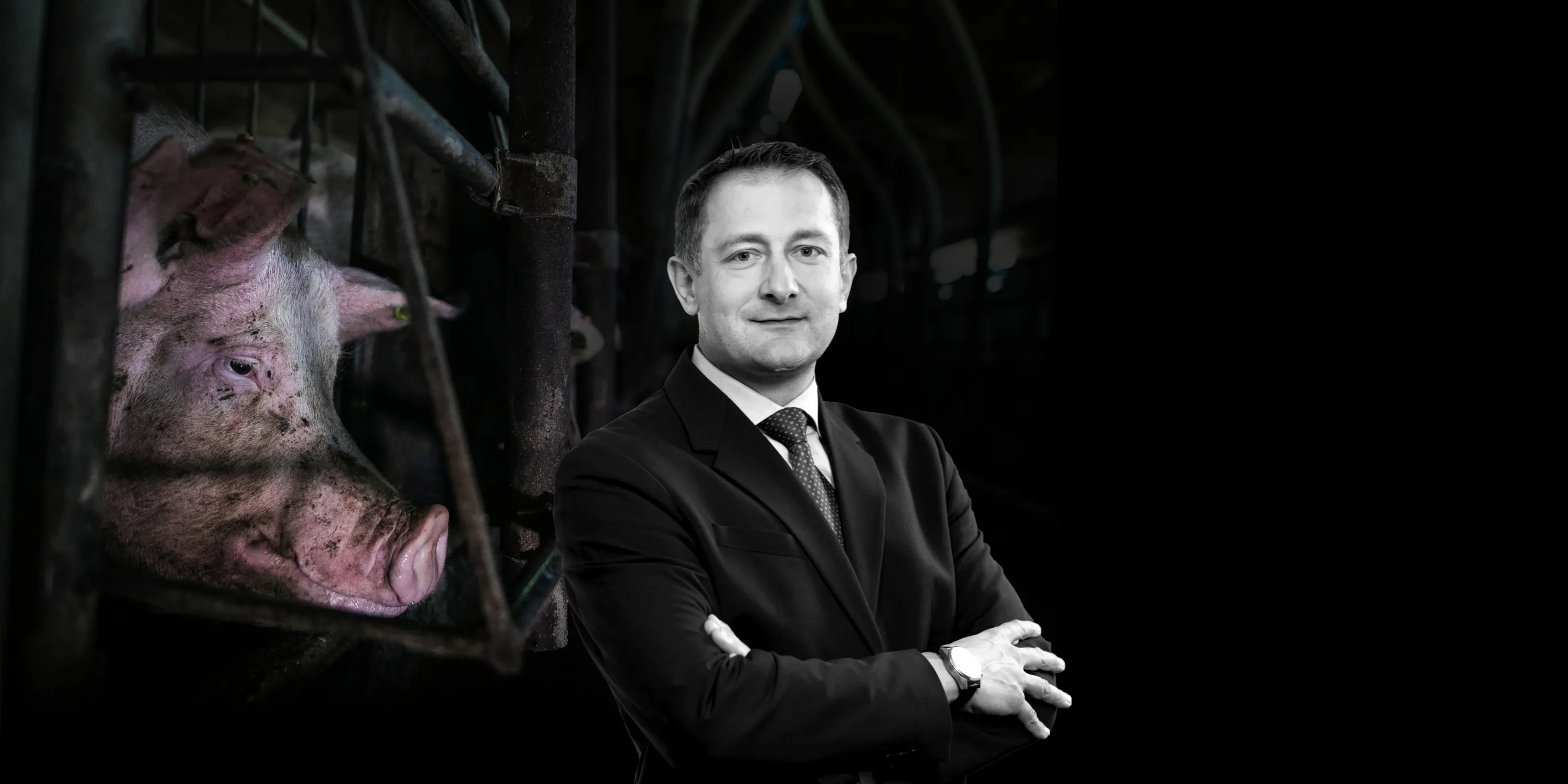 CHI È CHRISTOPHE HANSEN? 1