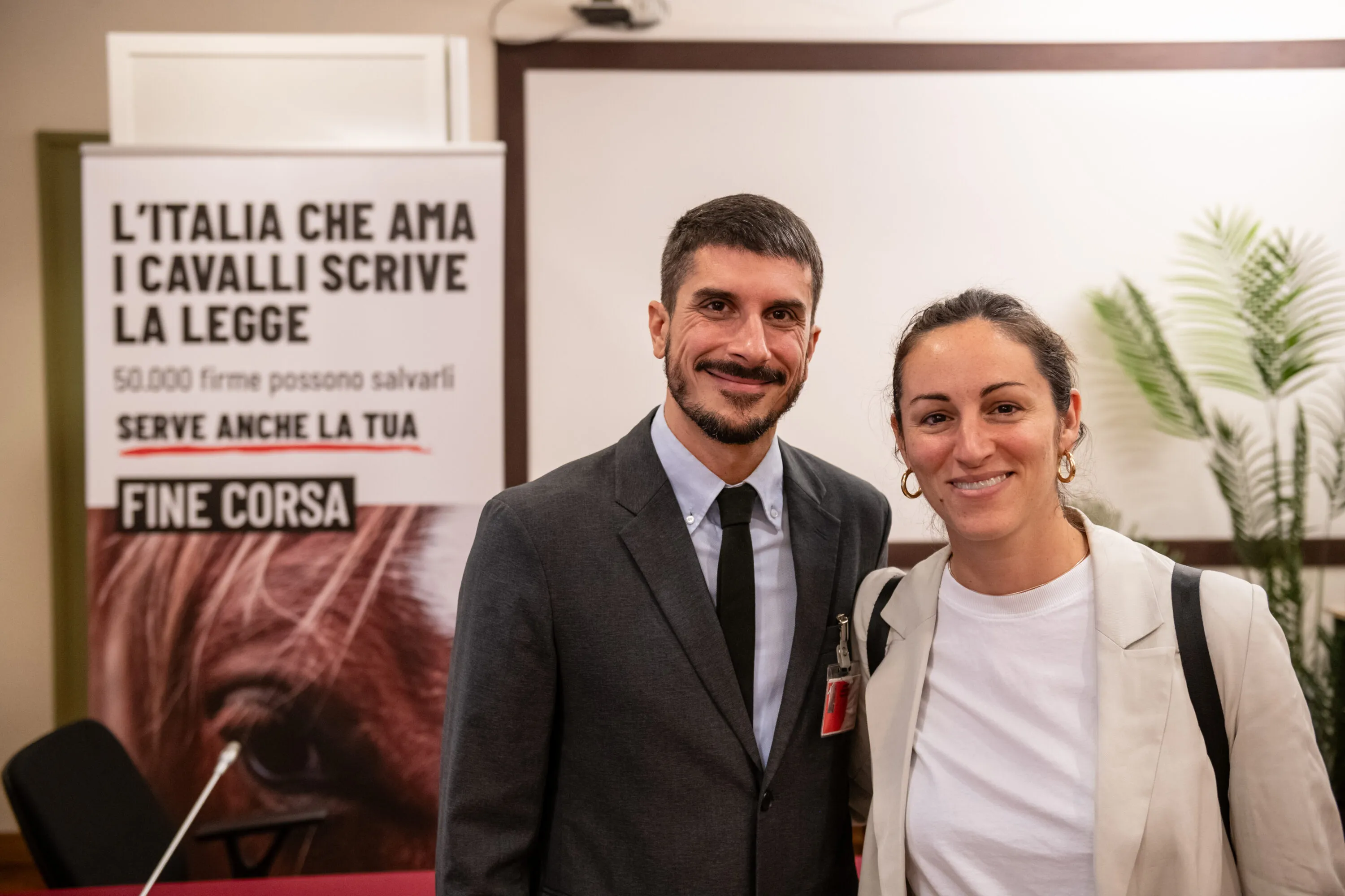 Abbiamo presentato una proposta di legge per salvare gli equidi 7