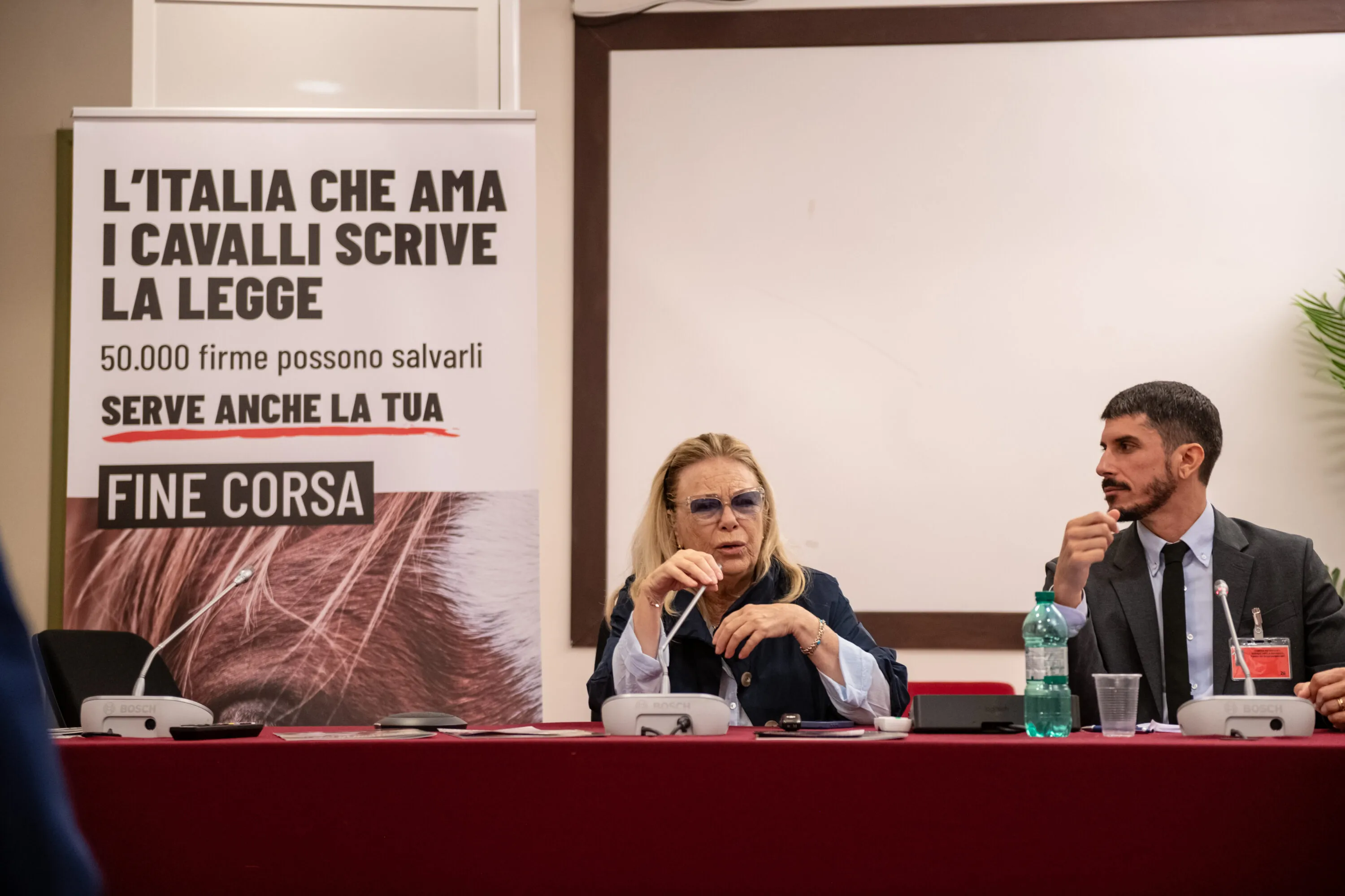 Abbiamo presentato una proposta di legge per salvare gli equidi 6
