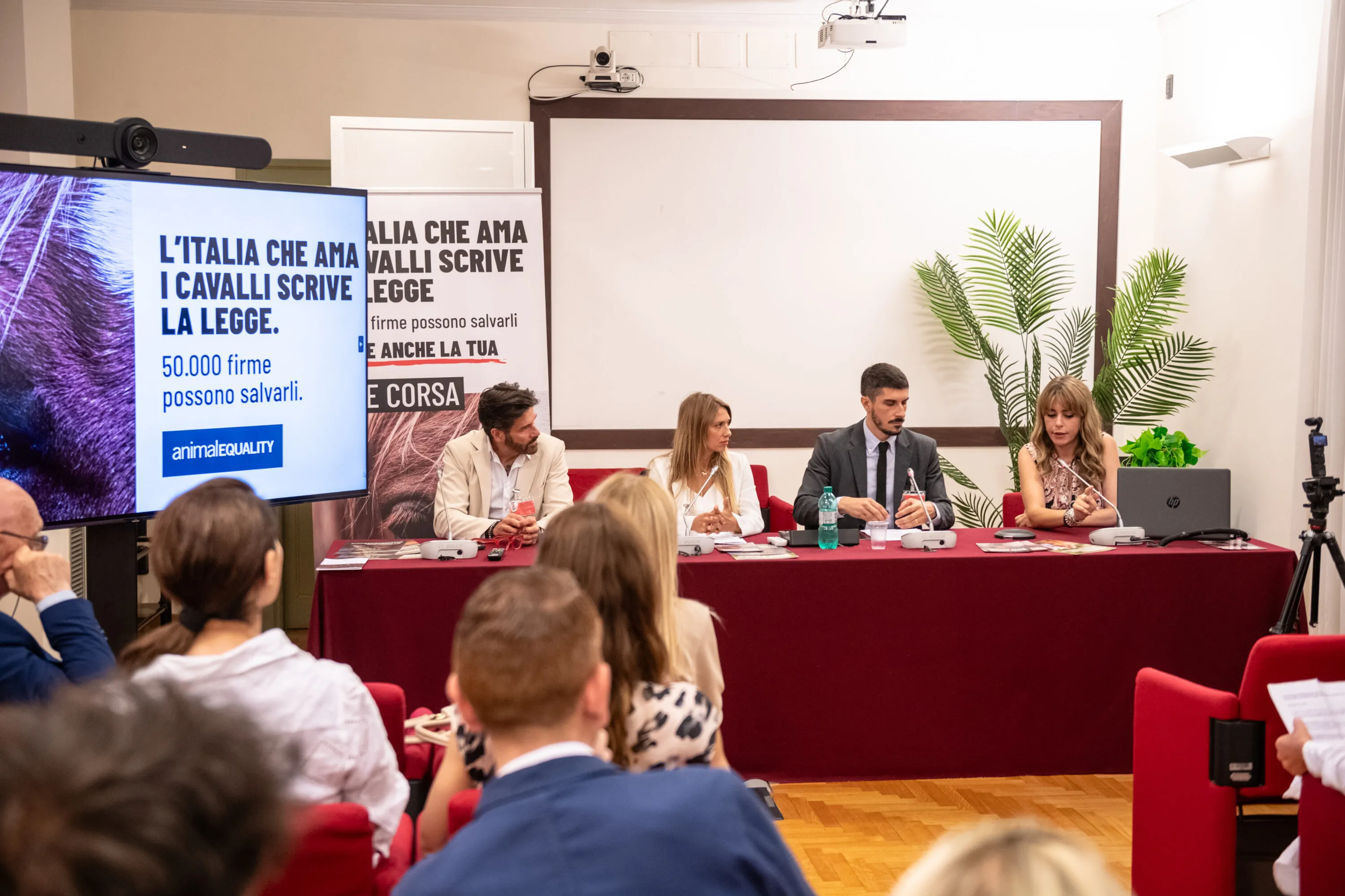 Abbiamo presentato una proposta di legge per salvare gli equidi 1