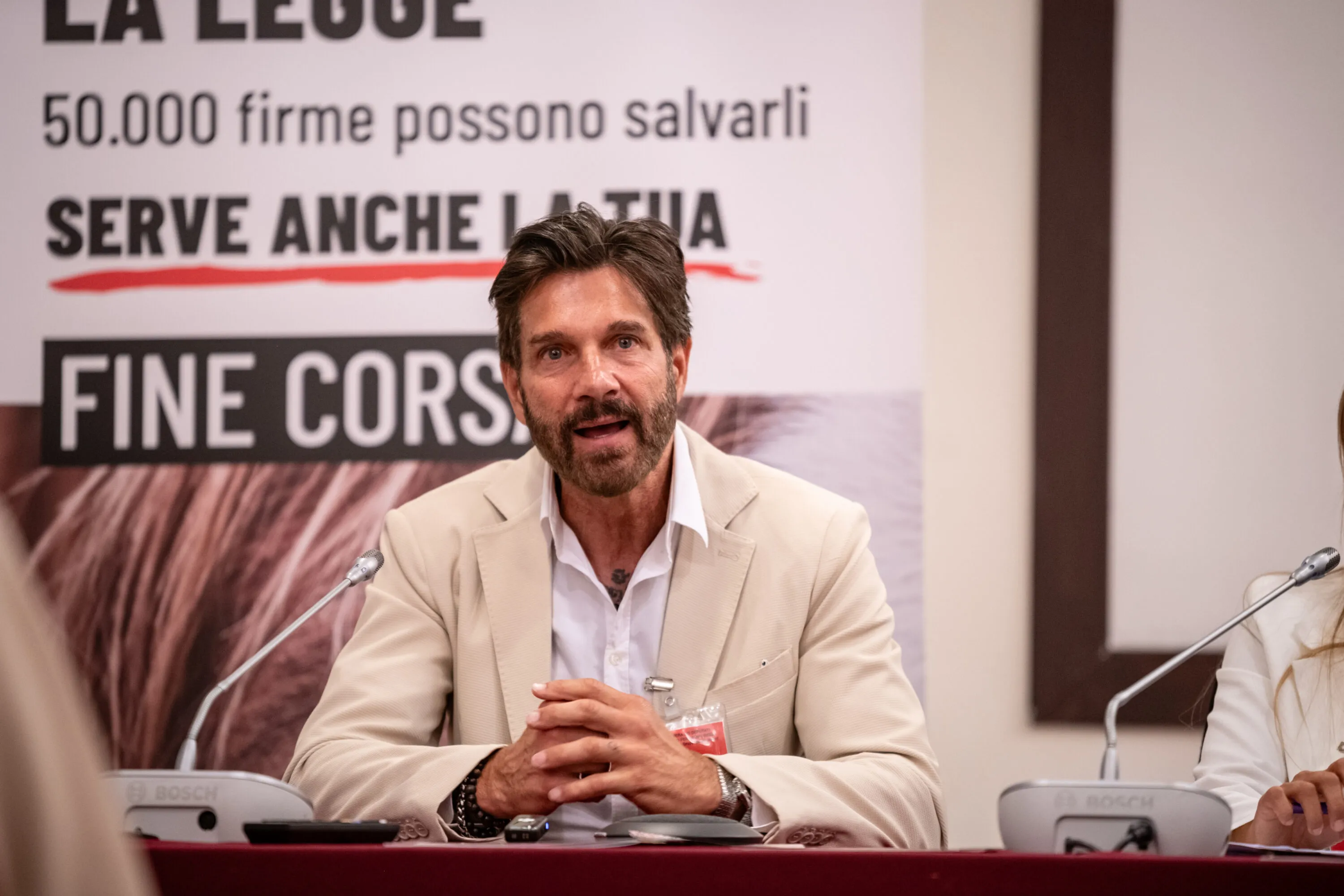 Abbiamo presentato una proposta di legge per salvare gli equidi 4
