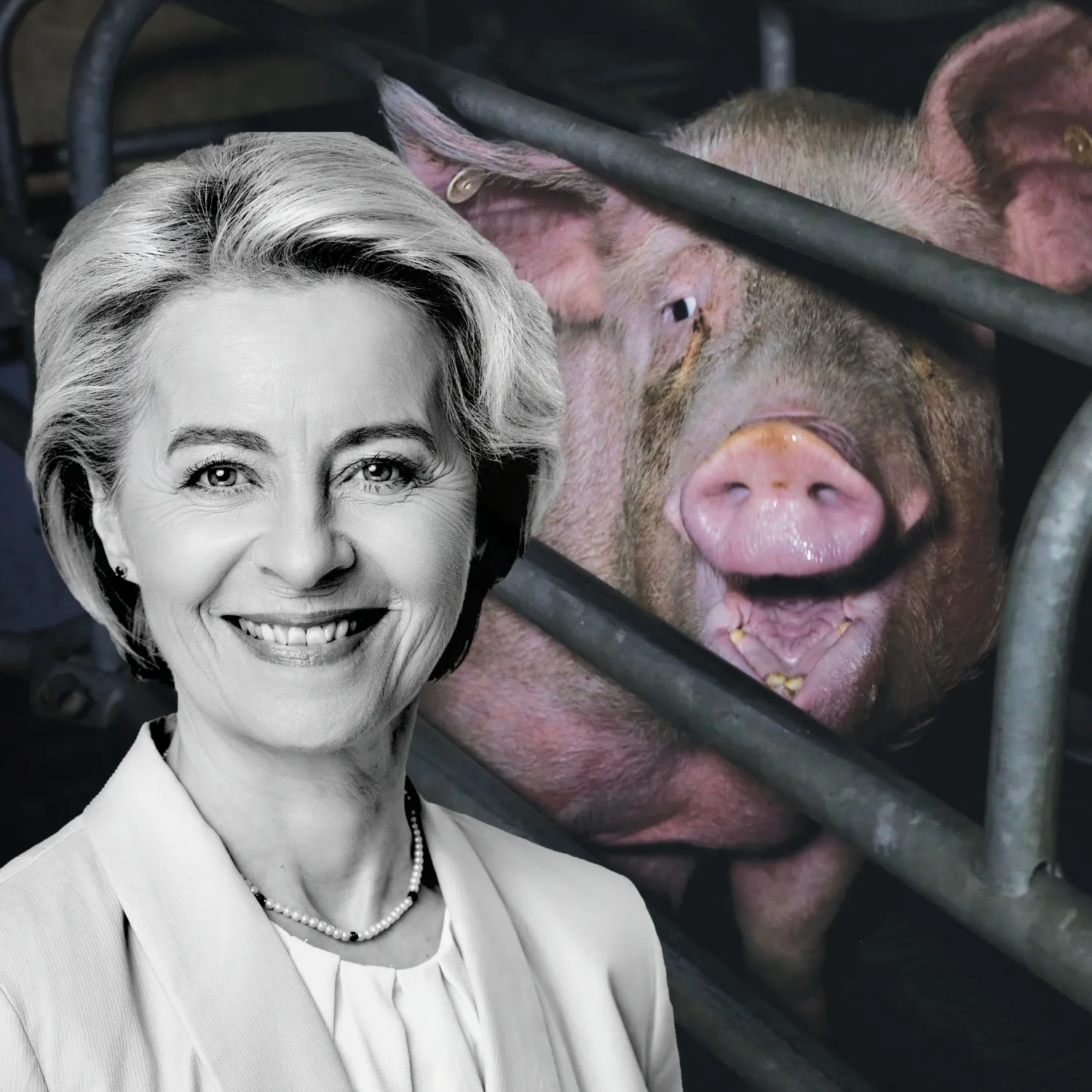 2026-08-eu-com-ursula-web-assets-int