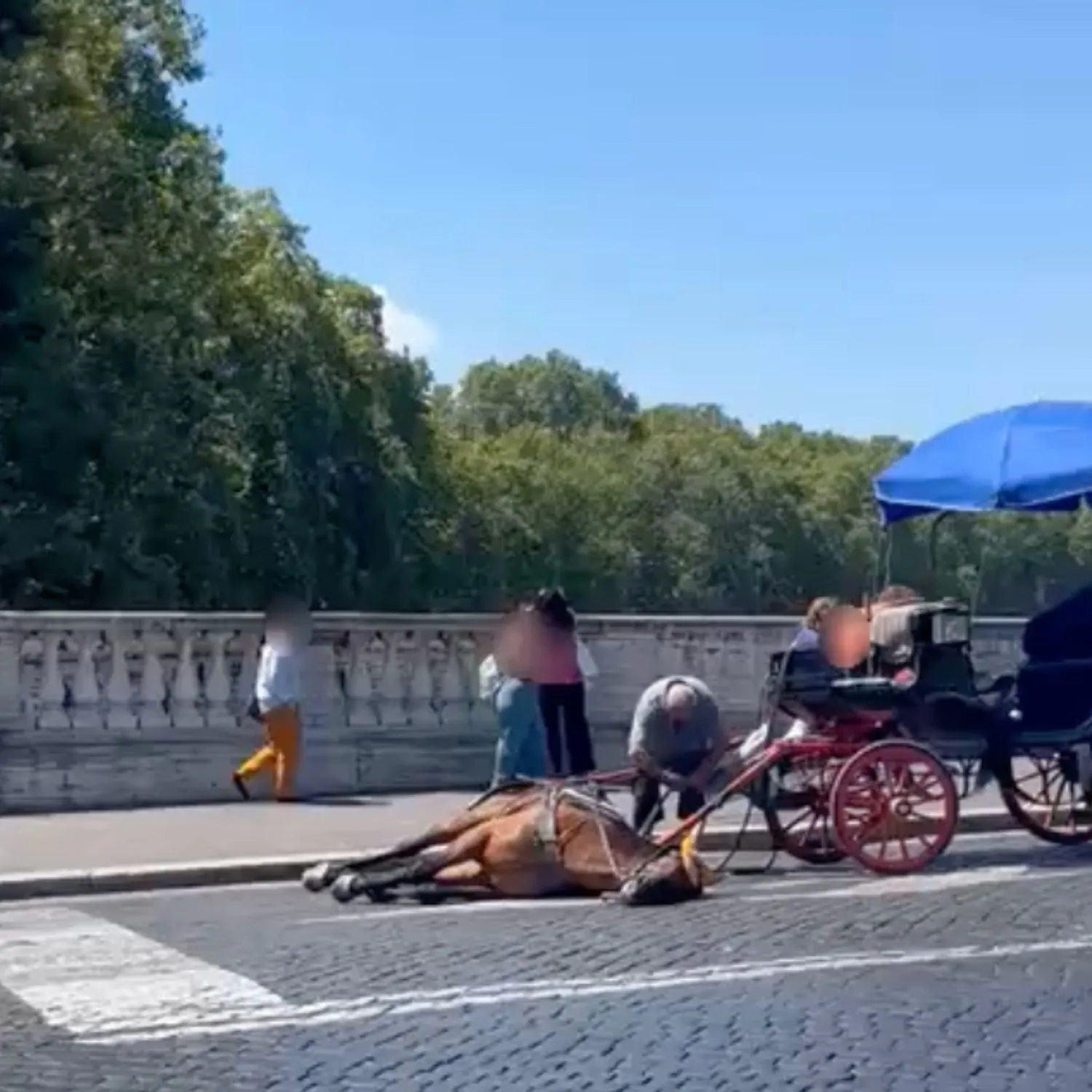 Ecco perché non basta vietare le botticelle 1 Ecco perché non basta vietare le botticelle