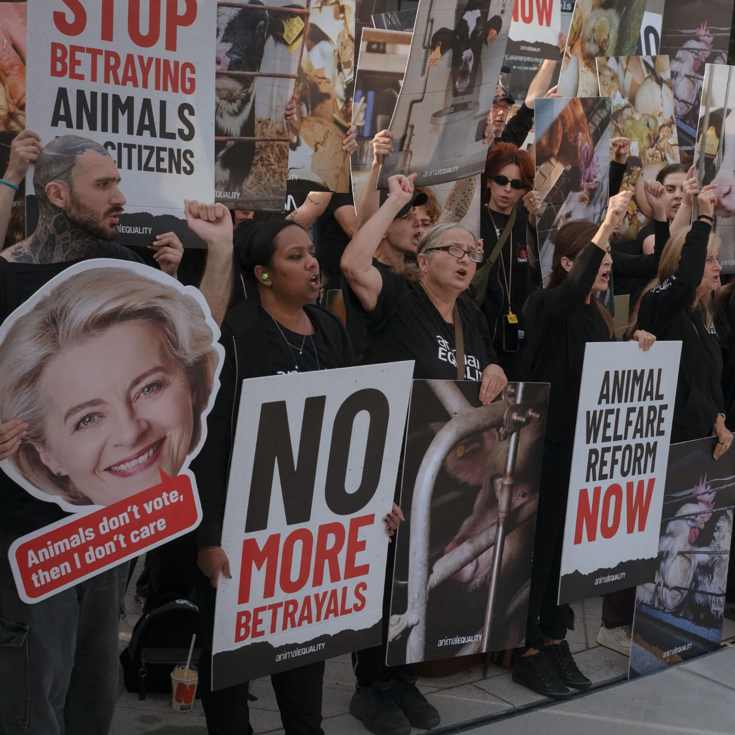 Continua a Bruxelles la mobilitazione di Animal Equality per una riforma ambiziosa sul benessere animale: “Consegnarla o tradirla”