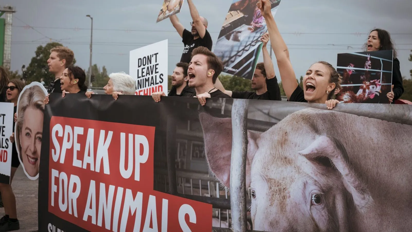 Von der Leyen ha scelto di ignorare gli animali e le persone fuori dal Parlamento che parlavano per loro 1