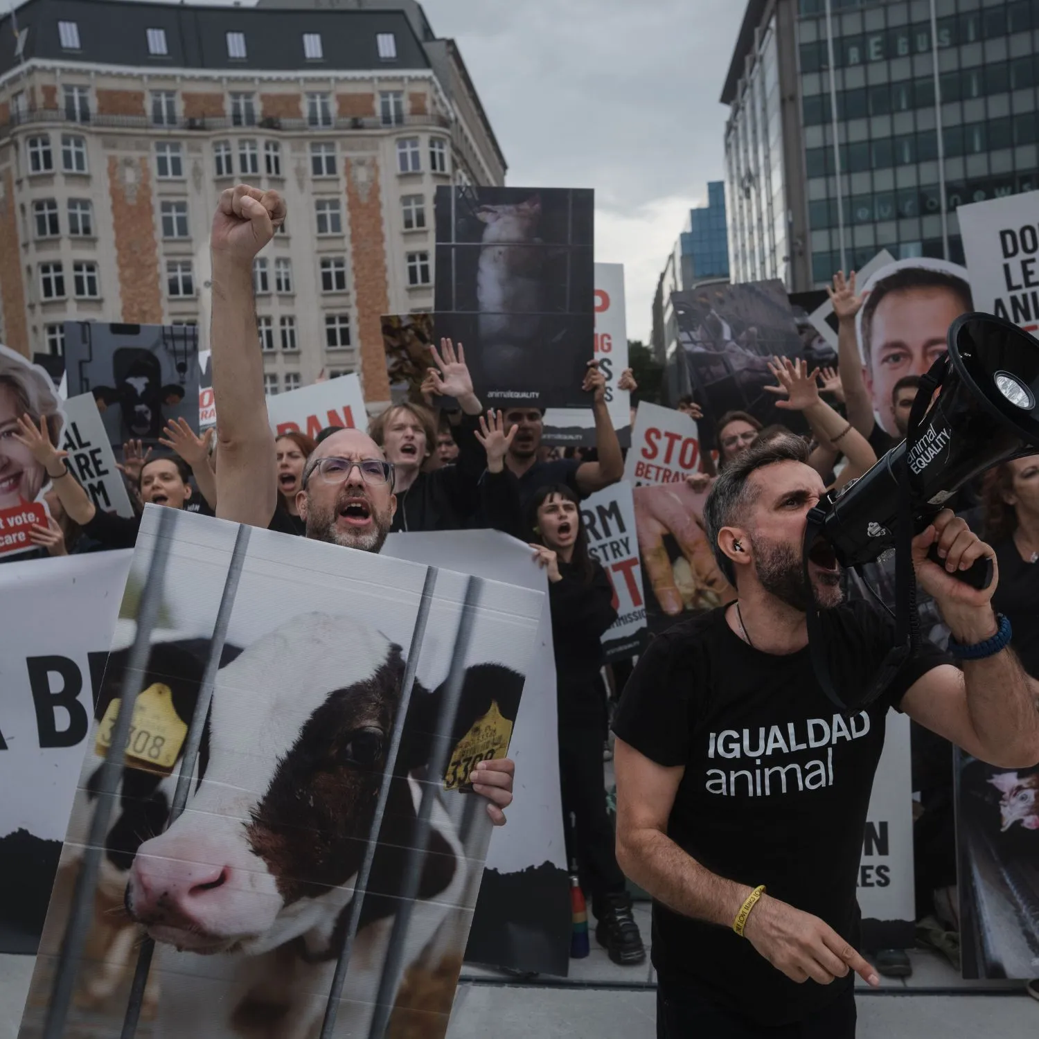 In piazza e ai tavoli che contano: Animal Equality manifesta a Bruxelles per tre giorni, von der Leyen deve agire